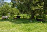 9284 County Road 225 - Photo 110