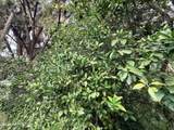 423 Holiday Drive - Photo 19