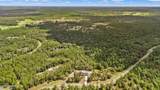 13529 Settindown Drive - Photo 39