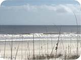 210 Ocean Hibiscus Drive - Photo 16