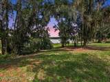 316 Macgill Street - Photo 59