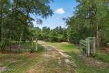 316 Macgill Street - Photo 63
