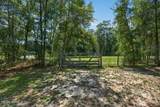 316 Macgill Street - Photo 64
