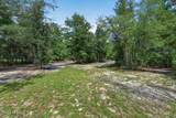 316 Macgill Street - Photo 65