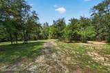 316 Macgill Street - Photo 66