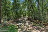 316 Macgill Street - Photo 67