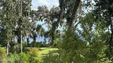313 Oakmoss Drive - Photo 3