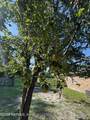 37491 Poole Road - Photo 28