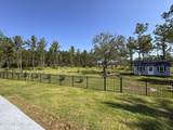 36426 Pitch Lane - Photo 16