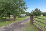 17101 Cross Branch Road - Photo 48
