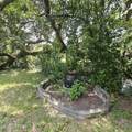 820 Gardenia Lane - Photo 40