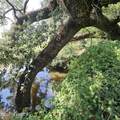 820 Gardenia Lane - Photo 42