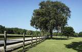 28541 Trigg Road - Photo 24
