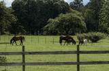28541 Trigg Road - Photo 25