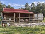 28541 Trigg Road - Photo 28