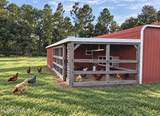 28541 Trigg Road - Photo 29