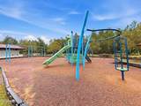 11665 Pacific Dogwood Court - Photo 31