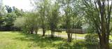 0 Mimosa Grove Trail - Photo 17