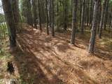 0 J Flake Road - Photo 4