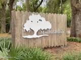 414 Camelia Trail - Photo 117