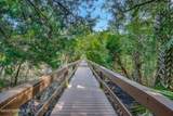 2229 Vista Cove Road - Photo 40