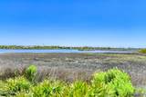 2229 Vista Cove Road - Photo 6