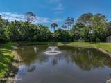 3237 Fiddlers Hammock Lane - Photo 67
