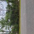 233 Paradise Boulevard - Photo 4