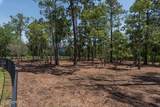 10461 Aventura Drive - Photo 92
