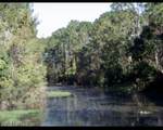 309 Wellington Drive - Photo 8