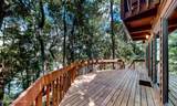 293 Lake Asbury Drive - Photo 7
