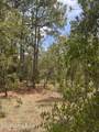 LOT 20 Sw Buena Vista Road - Photo 4