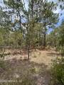 LOT 20 Sw Buena Vista Road - Photo 5