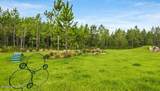 658 Kingbird Drive - Photo 4