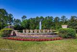 10307 Benson Lake Drive - Photo 27