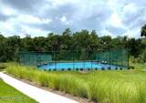 367 Caryota Court - Photo 44