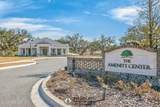 698 Natureland Circle - Photo 45