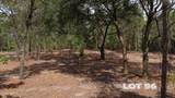 15433 Bullock Bluff Road - Photo 9