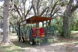 18811 243RD Street - Photo 30