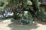 18811 243RD Street - Photo 49