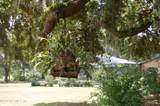 18811 243RD Street - Photo 60