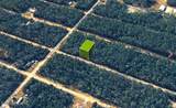 0 Shappell Avenue - Photo 1
