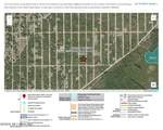 0 Shappell Avenue - Photo 9