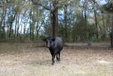 6769 Sandsdale Road - Photo 12