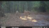 O Lazy Pines Road - Photo 13