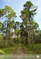 LOT 2 909 Eagle Drive - Photo 26