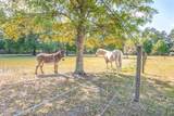 7518 Glynn Allyn Road - Photo 12