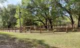 5824 Jones Creek Road - Photo 16