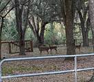 5824 Jones Creek Road - Photo 19