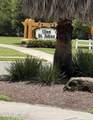 35 Cane Garden Way - Photo 2
